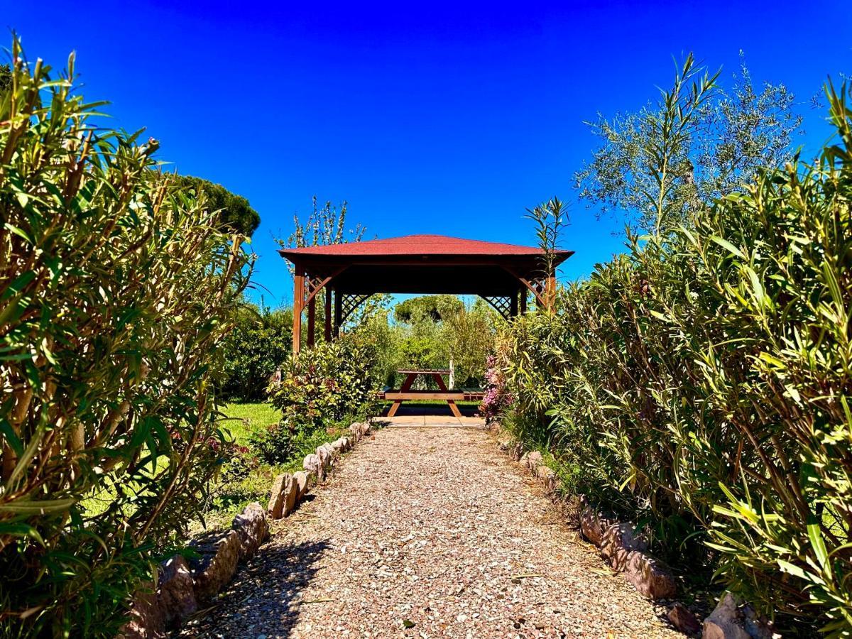 Agriturismo Re di Fiori Villa Donoratico Esterno foto