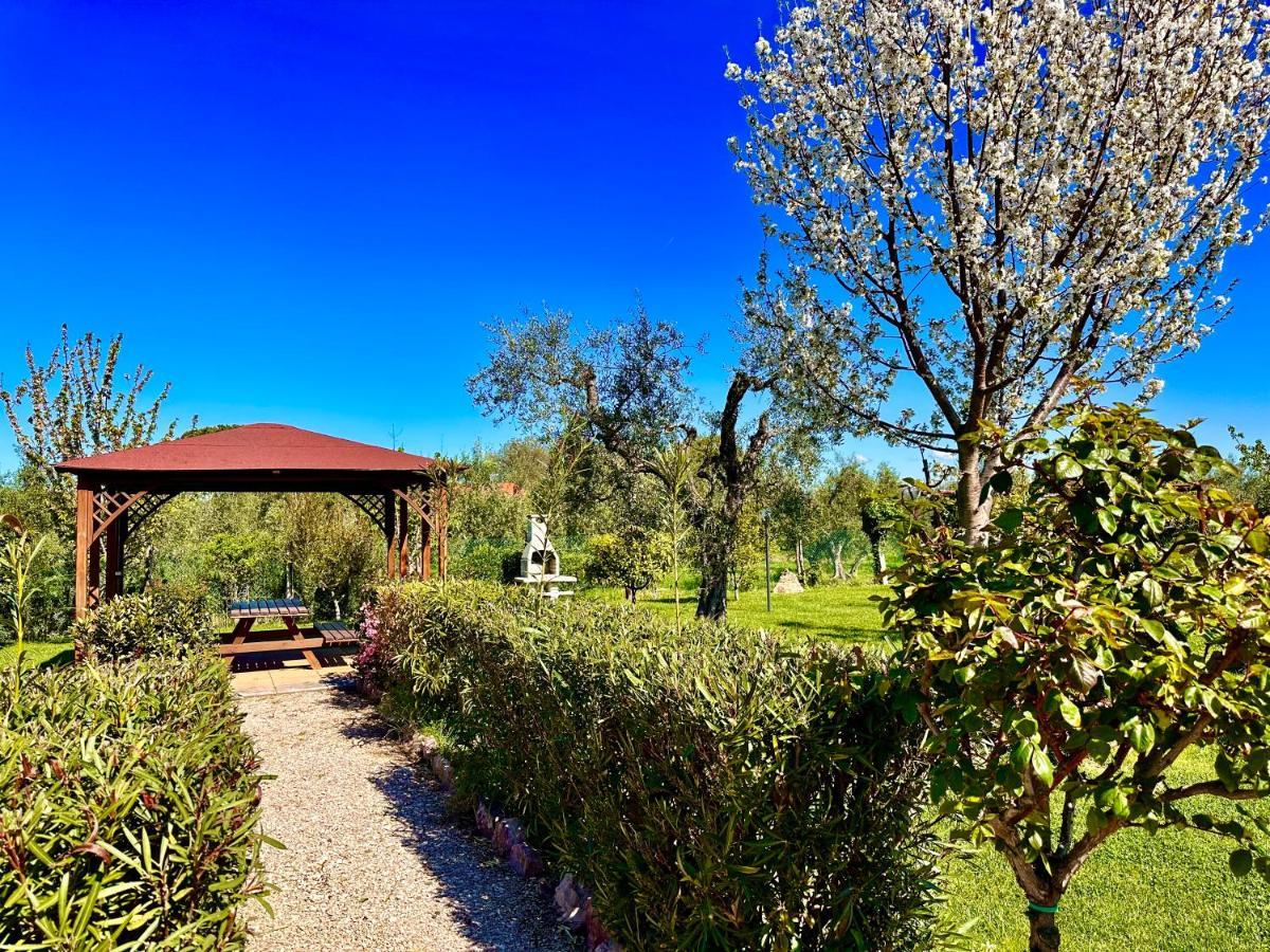 Agriturismo Re di Fiori Villa Donoratico Esterno foto