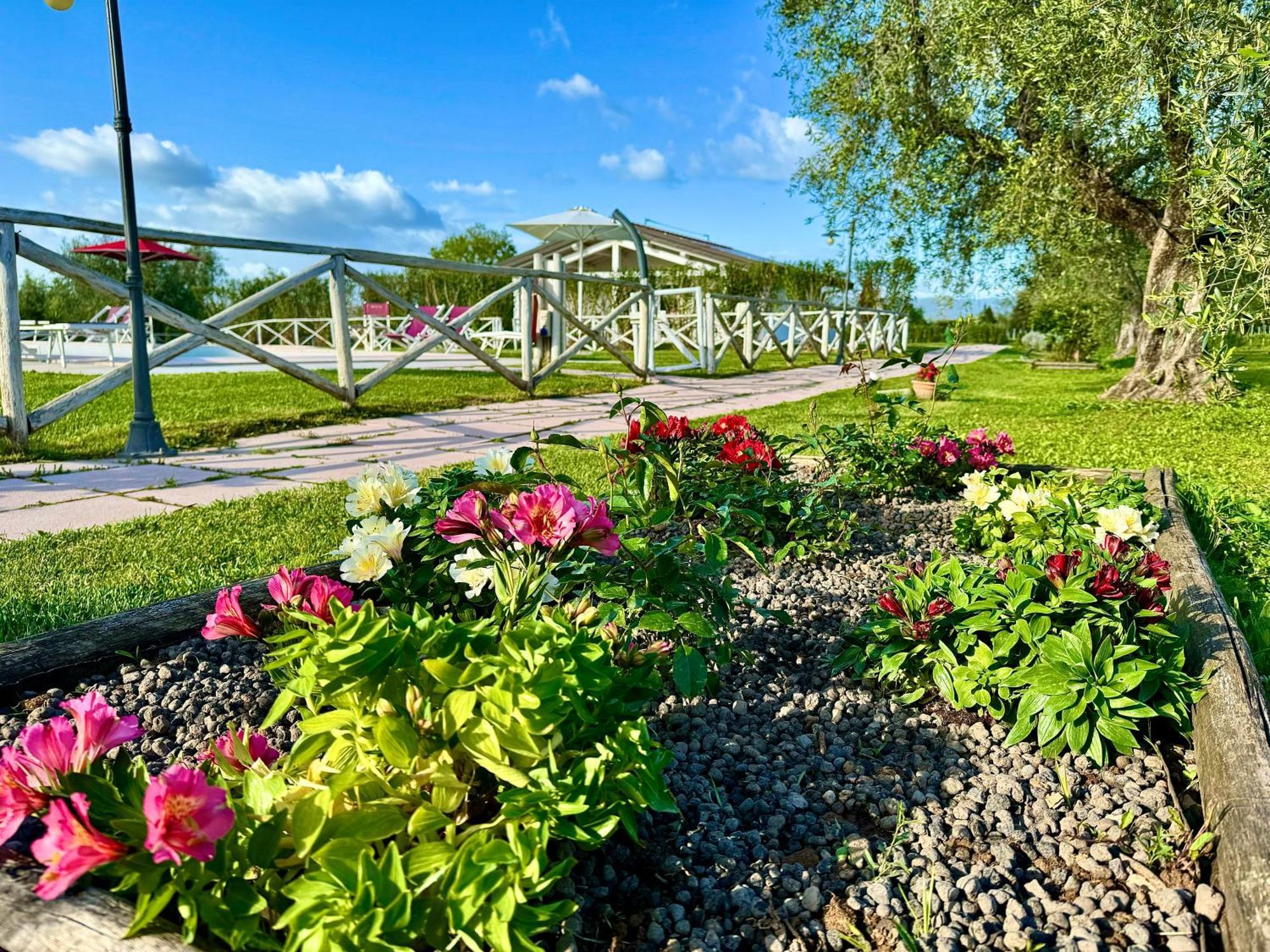 Agriturismo Re di Fiori Villa Donoratico Esterno foto