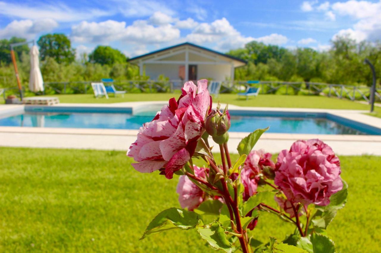 Agriturismo Re di Fiori Villa Donoratico Esterno foto