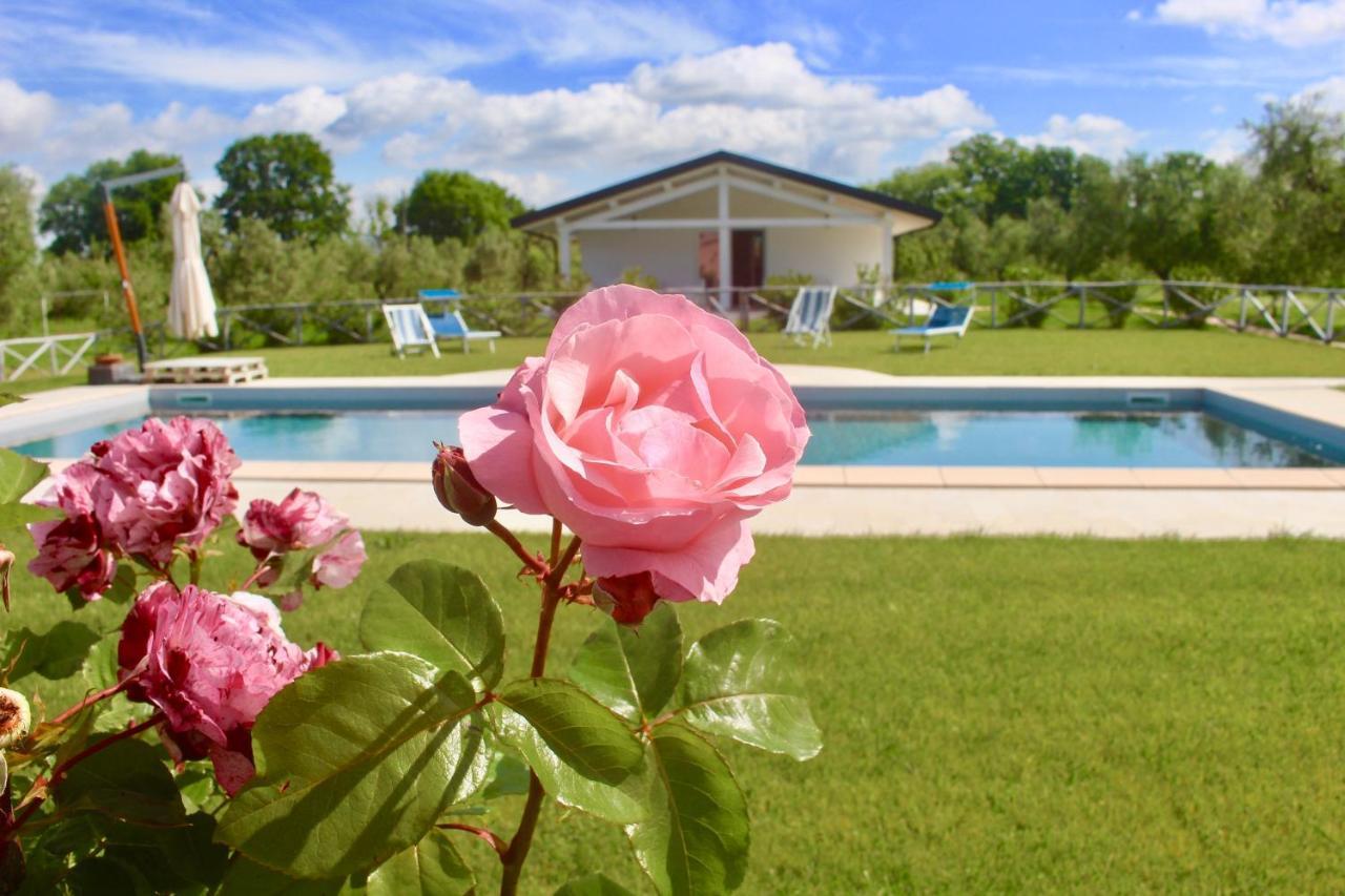 Agriturismo Re di Fiori Villa Donoratico Esterno foto